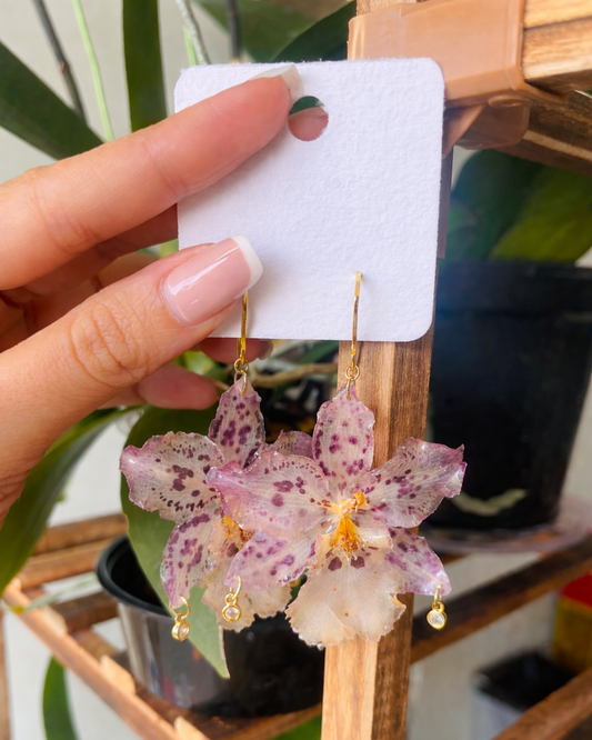 Calico Gems Orchid Earrings